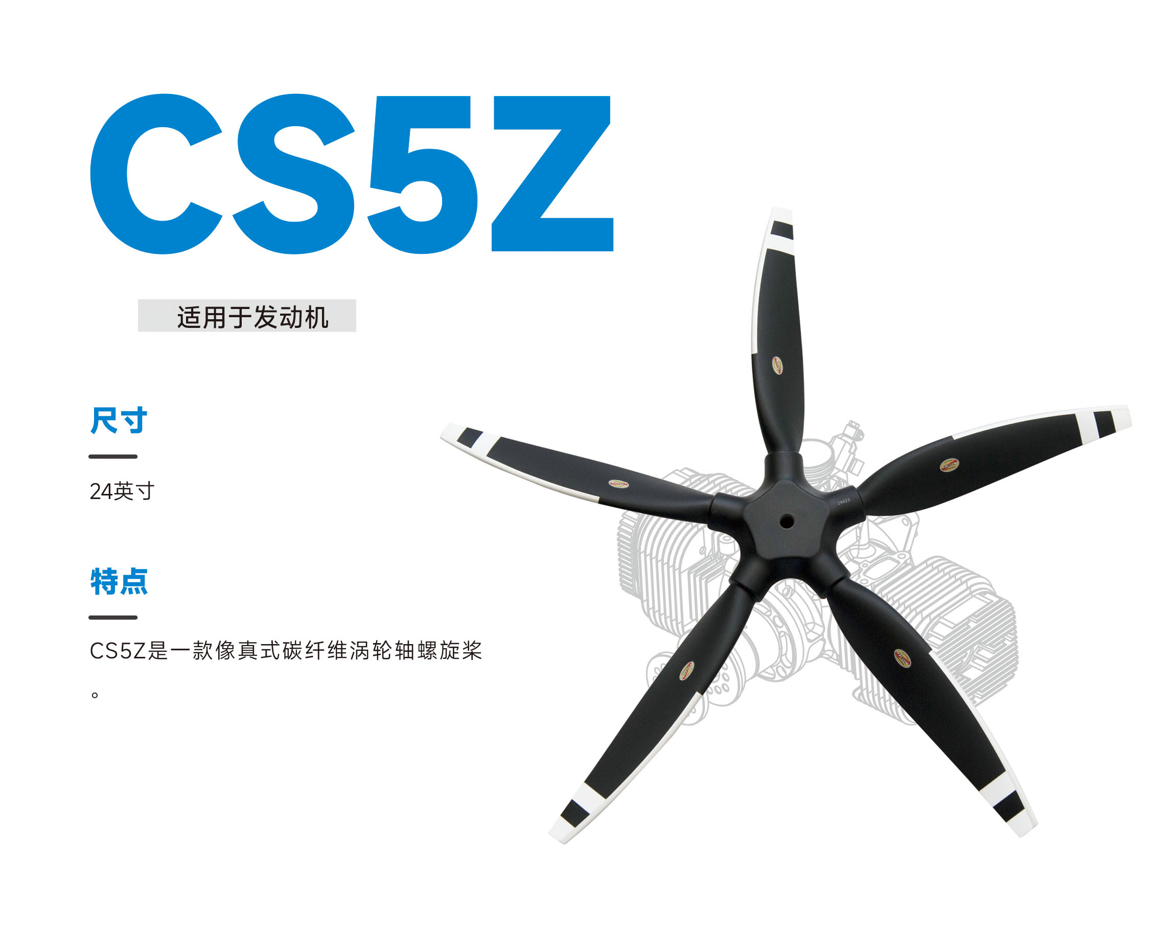 CS5Z.jpg