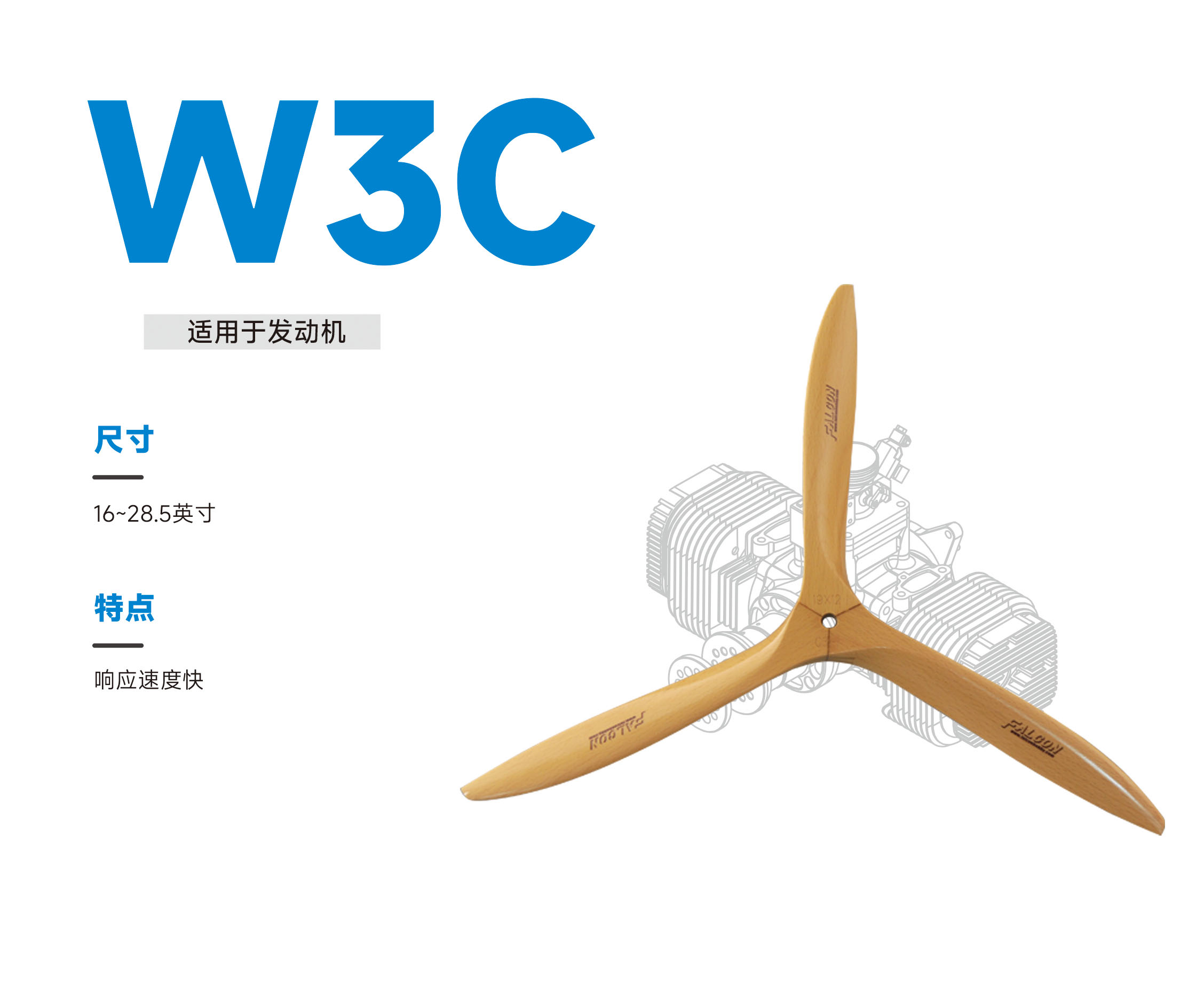 W3C.jpg